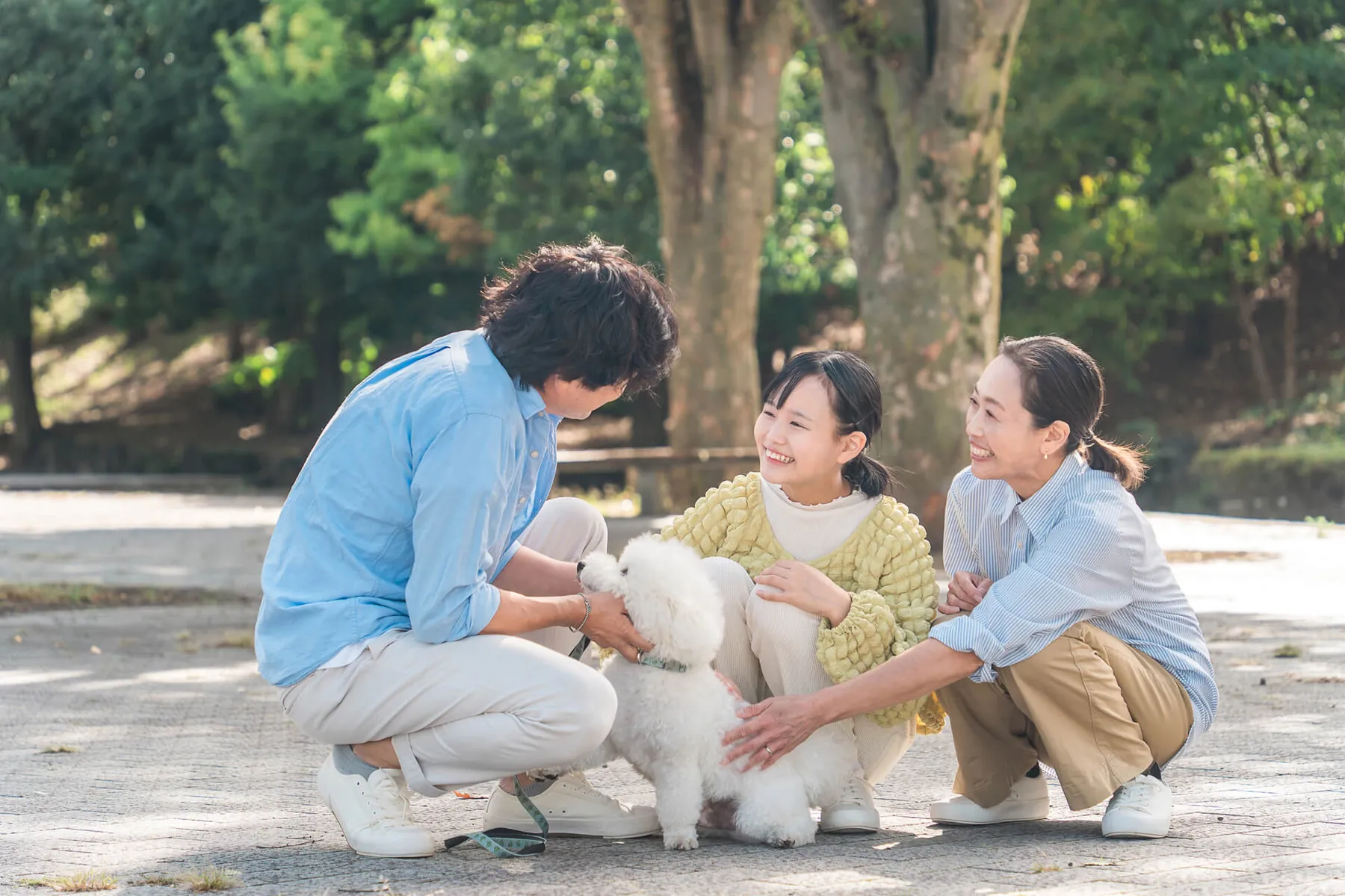 公園で白い犬を囲んでしゃがむ三人の家族